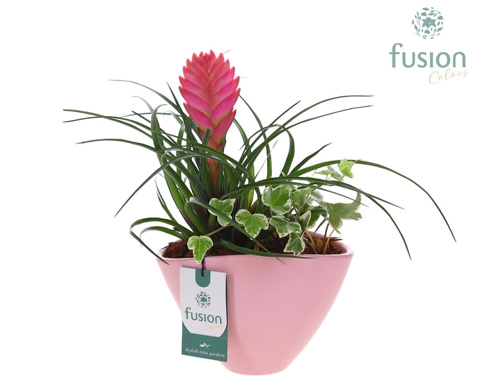 <h4>Pot keramiek ovaal Medium met Arrangement</h4>