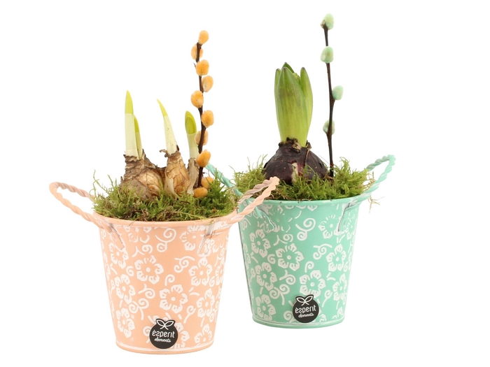 <h4>11641: Outdoor spring arrangement</h4>