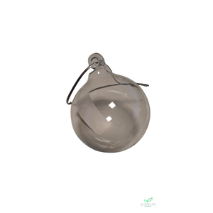 KERSTBAL GLASS HELDER 5CM 12pc