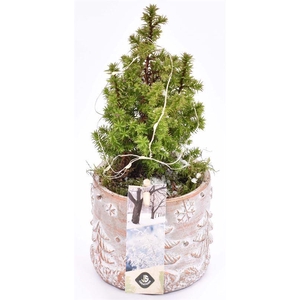 Cement met opdruk mix 9cm