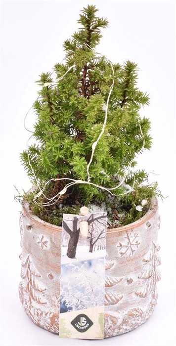 <h4>Cement met opdruk mix 9cm</h4>