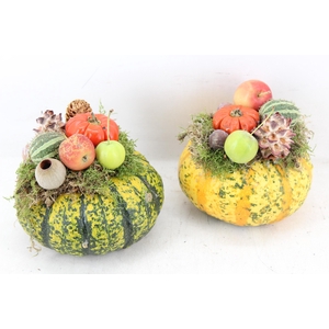 arr4 Sierfruit PP - Pompoen x6 yellow