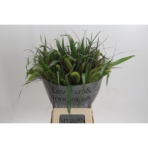 Grasses mix in bucket