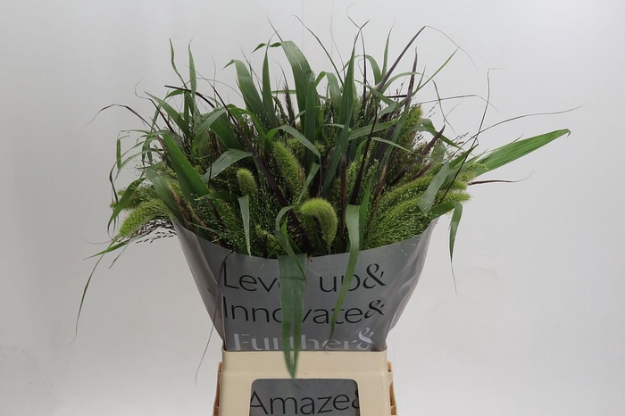 <h4>Grasses mix in bucket</h4>