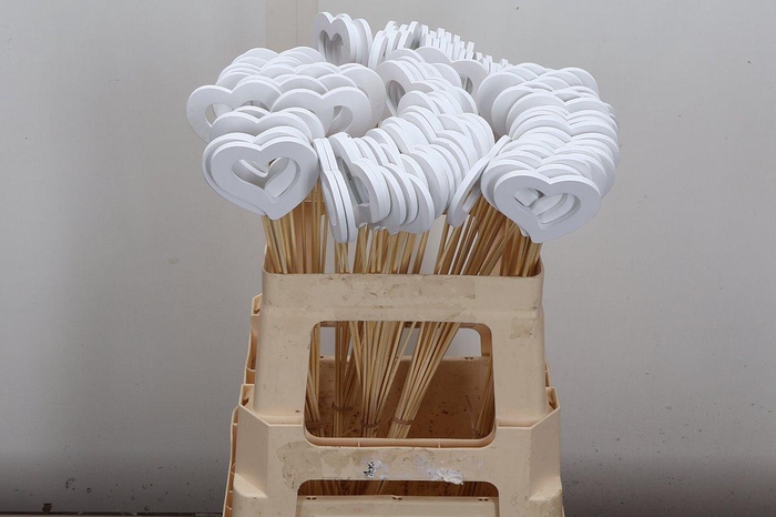 <h4>Hartje Op Stok H% Wit X100</h4>