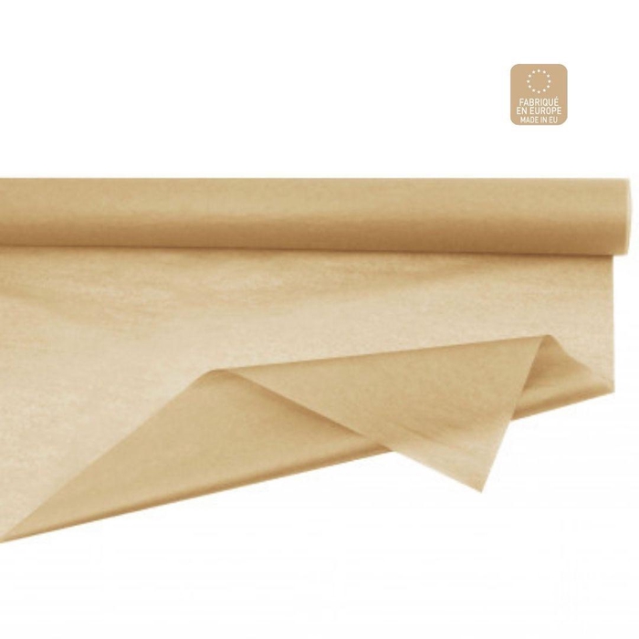 <h4>Paper Roll silk 75cm 50m 28g</h4>