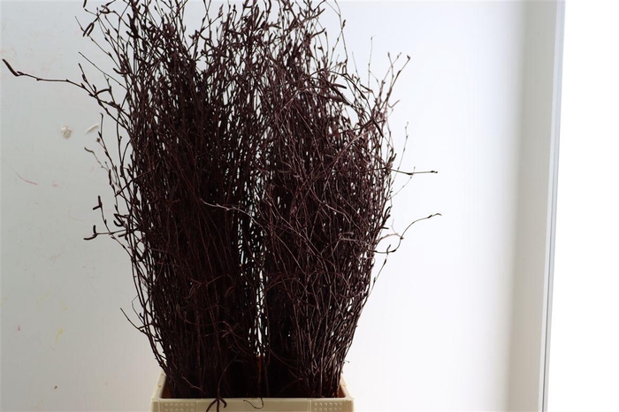 <h4>Berk 70cm Bordeaux Pbs</h4>