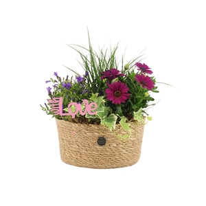 21752: Love outdoor arrangement