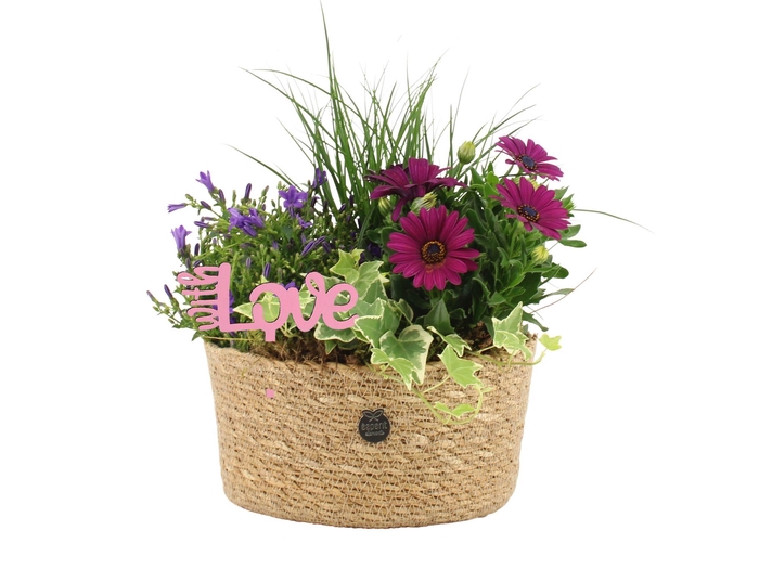 <h4>21752: Love outdoor arrangement</h4>