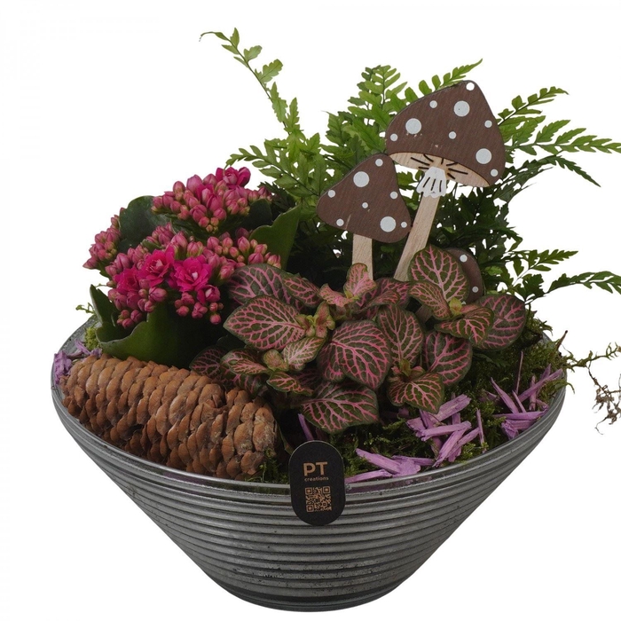 Arr.    Planten  L%