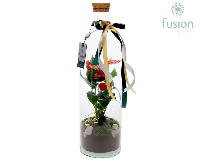 <h4>Green Bottle Fles Large Kerst met Anthurium</h4>