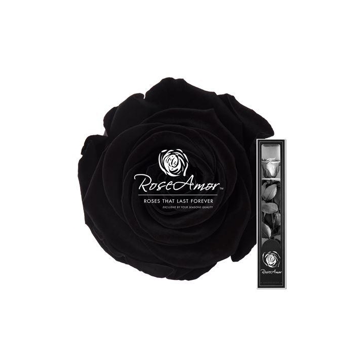 <h4>30cm Stem Bla01</h4>