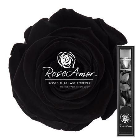 <h4>30cm Stem Bla01</h4>