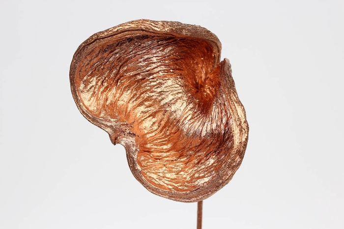 Badam on stem Copper