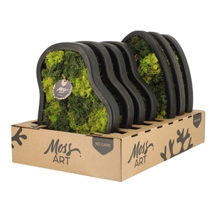 90785: Moss Art Mix Organical D36 & Triangle D39