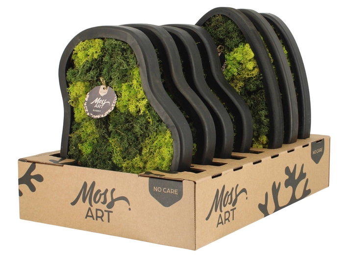 <h4>90785: Moss Art Mix Organical D36 & Triangle D39</h4>