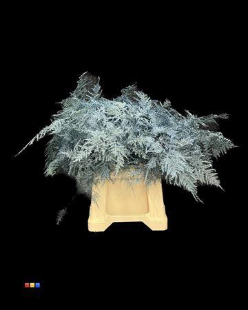 <h4>Asp 1e Metallic Blue</h4>