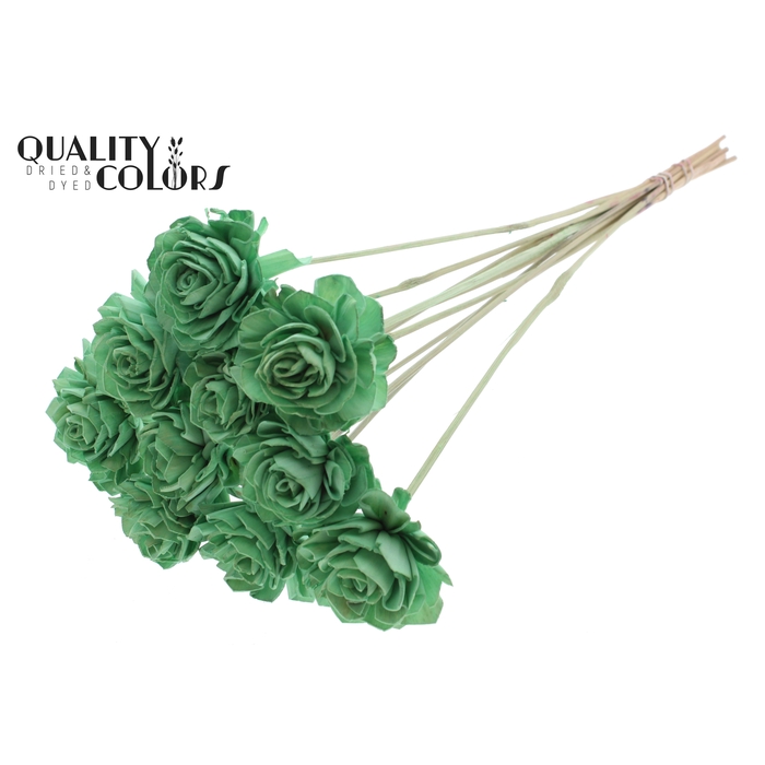 <h4>Shola Dahlia 6cm on stem Mint Green</h4>