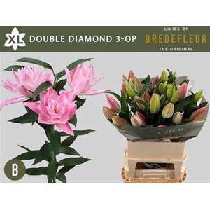 Li Or Du Dou Diamond