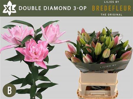 Li Or Du Dou Diamond