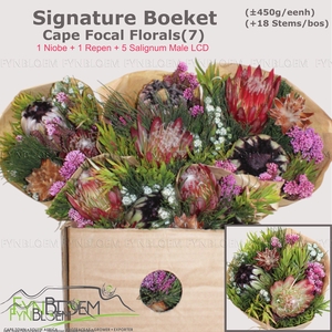 PROTEA PER BOS