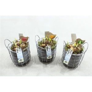 21033 SMALL CEMENT POTJE+FRAME