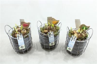 <h4>21033 SMALL CEMENT POTJE+FRAME</h4>