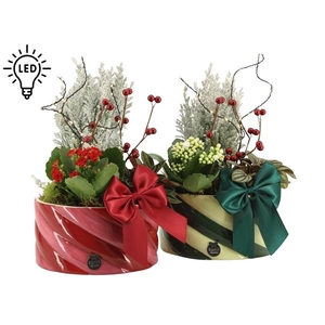 61777: X-mas arrangement met LED