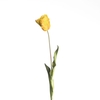 AF Tulip Parrot L60cm Yellow