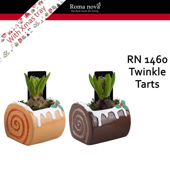 <h4>Arr.  Hyacinthus L%</h4>