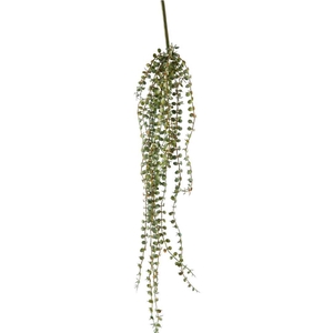 Kunstbloemen Succulent trailing 71cm