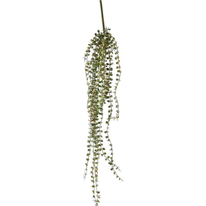 <h4>Kunstbloemen Succulent trailing 71cm</h4>