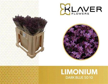 <h4>Lim Saf Dark Blue</h4>