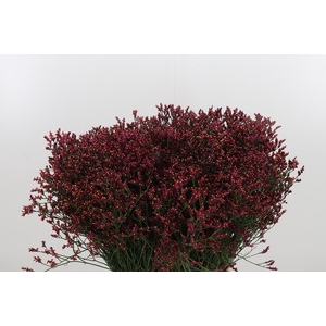 Lim Sin Scar Diamond