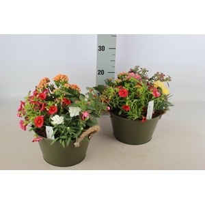 ARR GARDEN ZINC ROUND