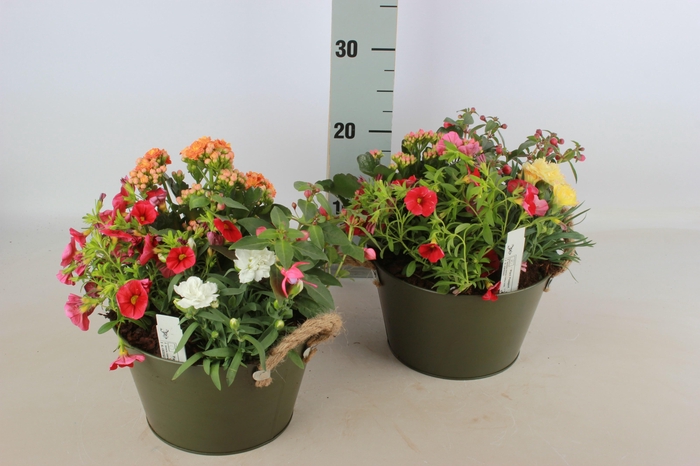 <h4>ARR GARDEN ZINC ROUND</h4>