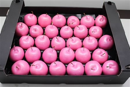 <h4>Waxappel Pink</h4>
