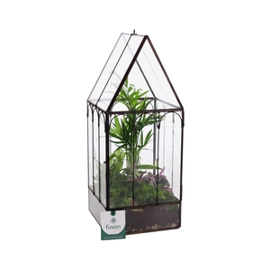 Metaal Geometrisch Huis planter Small met Terrarium arrangement