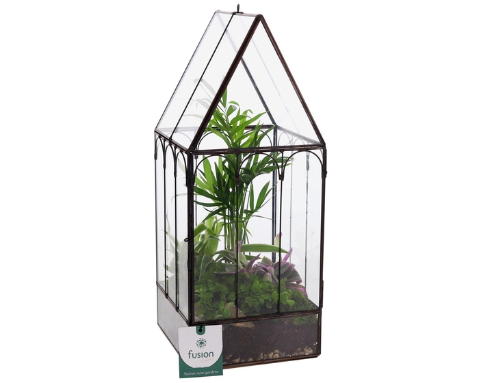<h4>Metaal Geometrisch Huis planter Small met Terrarium arrangement</h4>