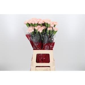 Di St Novia Peach