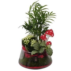 PTHG8240 Arrangement Autumn Glass in glas schaal