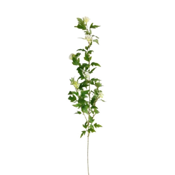 <h4>Kunstbloemen Eucalyptus 90cm</h4>