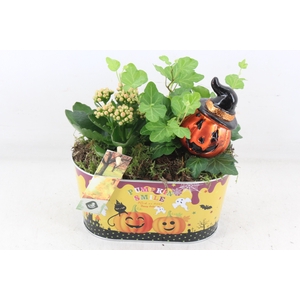 arr2 JS - Zink ovaal halloween