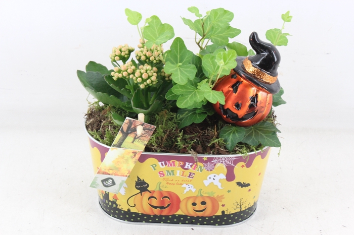 <h4>arr2 JS - Zink ovaal halloween</h4>