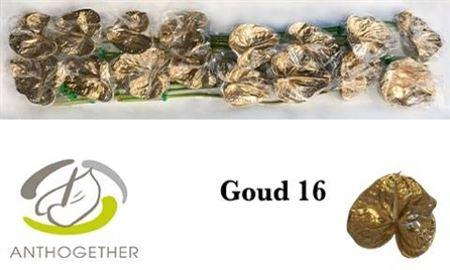 <h4>Anth A Ov Klb H%</h4>