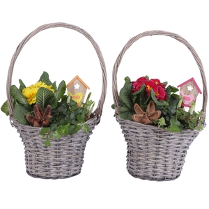 Early Spring Arr. Outdoor Willow Handle Basket Grey Ø24cm 3PP