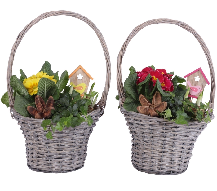 <h4>Early Spring Arr. Outdoor Willow Handle Basket Grey Ø24cm 3PP</h4>