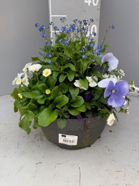 <h4>PERKPL GEM IN POT</h4>