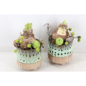 arr4 Amaryllis MB - Ker. luxe voet x6