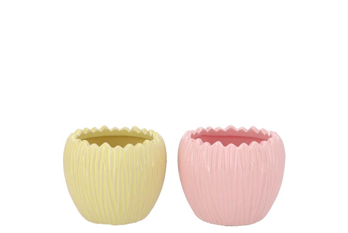 <h4>Ella Pink Yellow Pot Round Ass 12x12x10cm</h4>